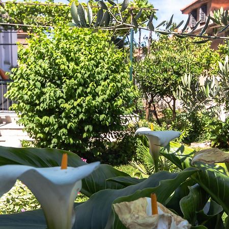 ספליט Marjan Hill 3-Br Apt,5 Guests Private Garden Near Beach מראה חיצוני תמונה